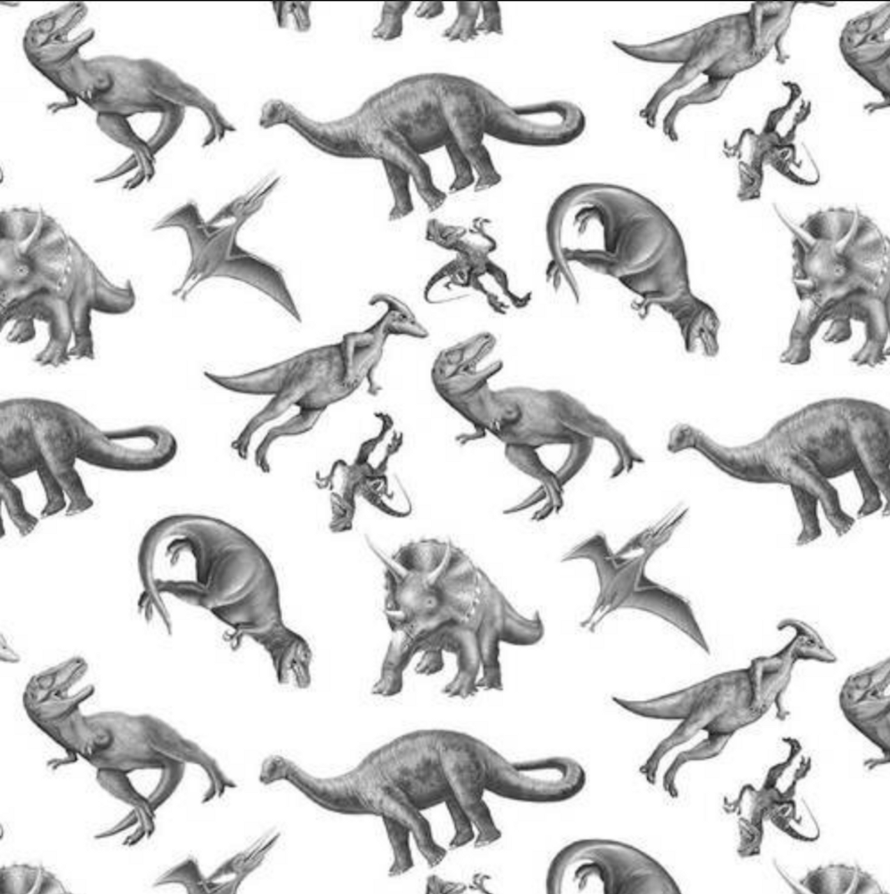 Studio E March of the Dinosaurs Dinosaur Toil White Fabric By The Yard