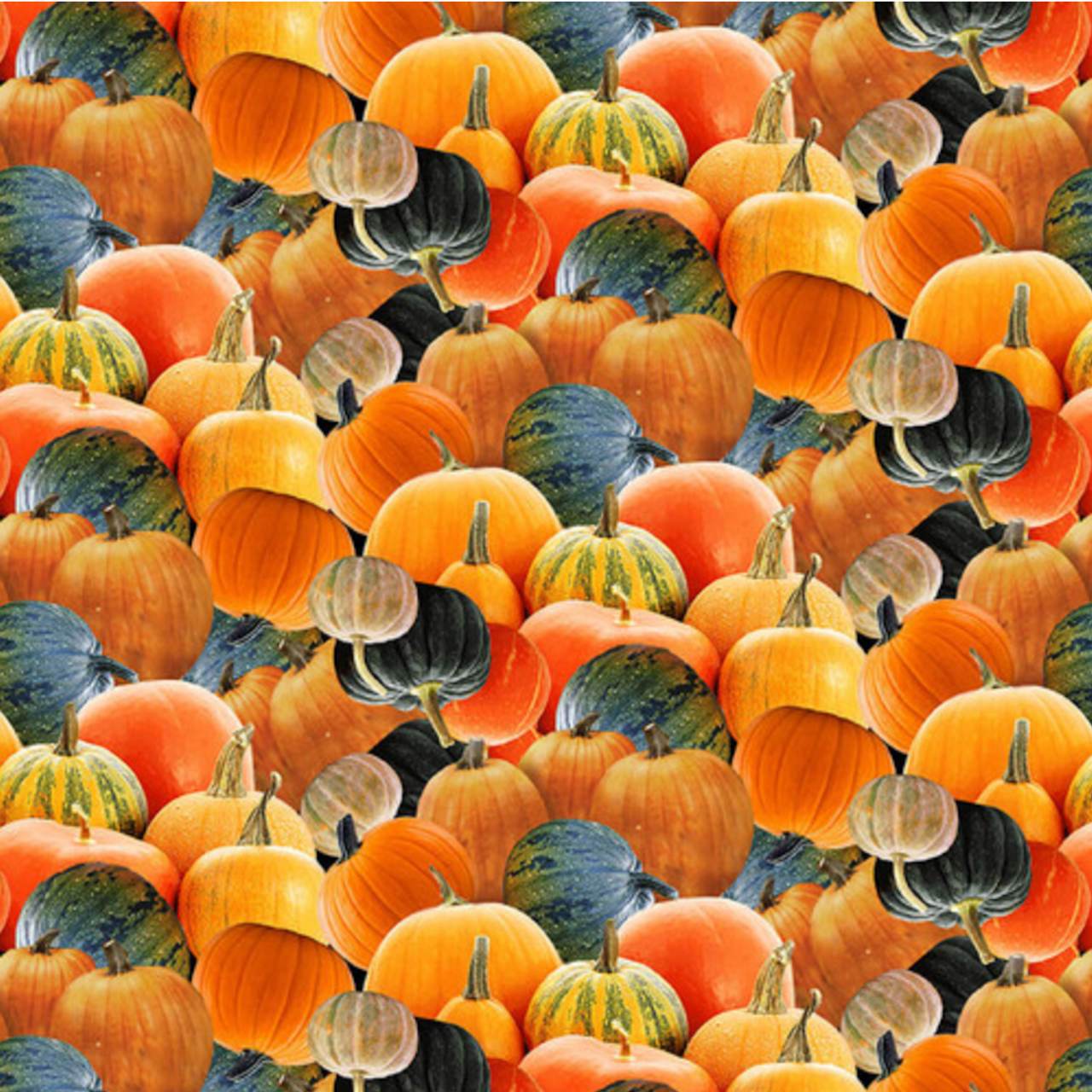 Henry Glass Autumn Splendor Tossed Pumpkin Orange Cotton Fabric By The Yard