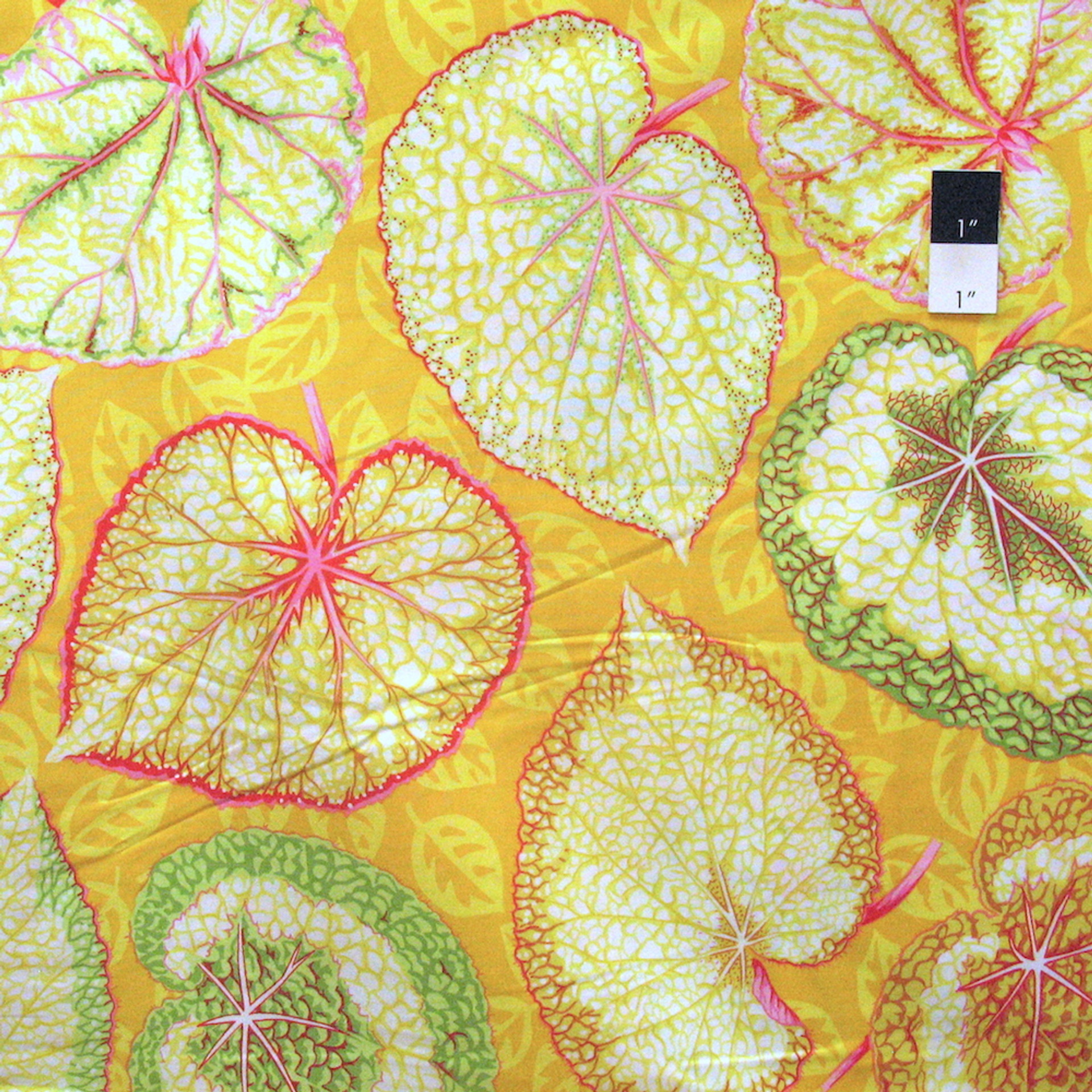 Philip Jacobs PWPJ070 Big Leaf Yellow Cotton Quilting Fabric By Yard