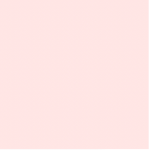 Free Spirit Tula Pink Solids Peach Fuzz Cotton Fabric By Yd Free Spirit Tula Pink Solids Peach Fuzz Cotton Fabric By Yd
