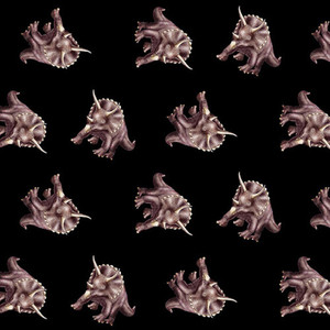 Studio E March Of The Dinosaurs Triceratops Allover Black Fabric By The Yard Studio E March Of The Dinosaurs Triceratops Allover Black Fabric By The Yard