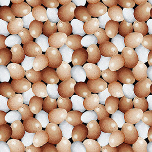 Blank Quilting Out To Pasture Eggs Ivory Cotton Fabric By The Yard Blank Quilting Out To Pasture Eggs Ivory Cotton Fabric By The Yard