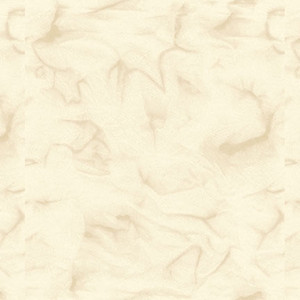 Blank Quilting Garden Club Blender Ivory Cotton Fabric By The Yard Blank Quilting Garden Club Blender Ivory Cotton Fabric By The Yard