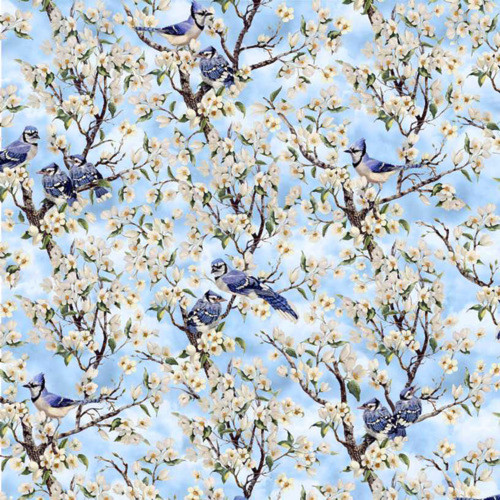 Blank Quilting 9006-11 Birds Of A Feather Blue Jays Lt Blue Fabric By Yard