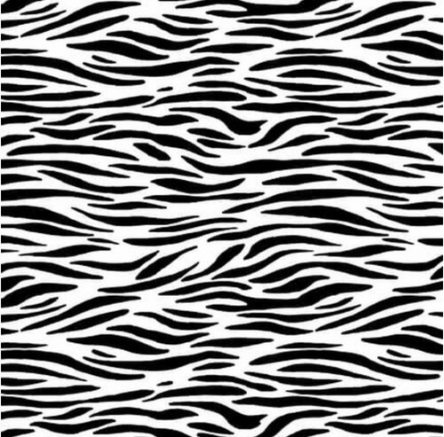 Studio E I'm Bugging Out Zebra Skin Black White Cotton Fabric By Yard