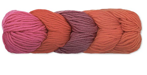 Caron Pantone X Spicy Blooms 5-Color Knitting & Crochet Yarn