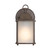 Tara Collection 1-Light Brown Outdoor Wall Lantern Sconce
