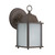 Tara Collection 1-Light Brown Outdoor Wall Lantern Sconce