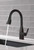 Peerless P7919LF-BL Xander Black Single-Handle Kitchen Faucet w/ Pull Down Sprayer Peerless P7919LF-BL Xander Black Single-Handle Kitchen Faucet w/ Pull Down Sprayer