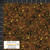 Stof European Quilting Twinkle Shooting Star Brown Cotton Fabric By The Yard