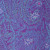 Kaffe Fassett PWGP147 Ferns Purple Cotton Fabric By The Yard
