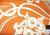 Amy Butler HDABS11 Home Dec August Fields Graceful Vine Orange By Yd