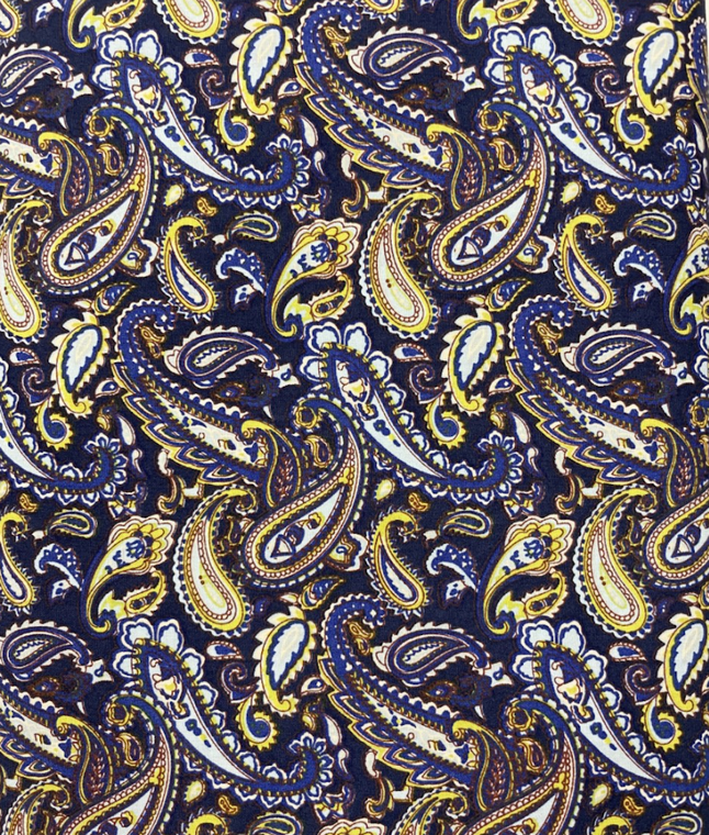 Studio E Paisley III Blue Paisley Cotton Fabric By The Yard