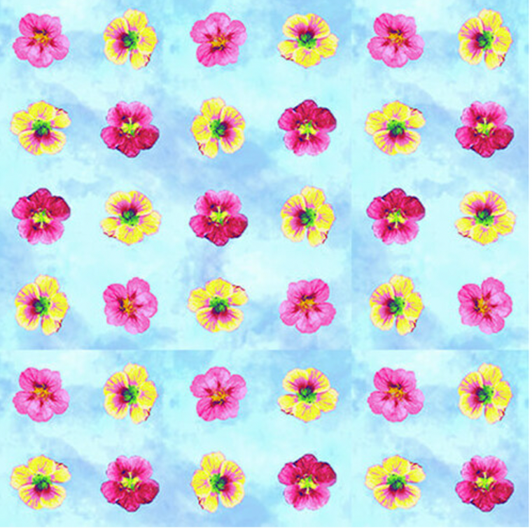 Studio E Hummingbird Heaven Flower Dot Sky Blue Cotton Fabric By Yard