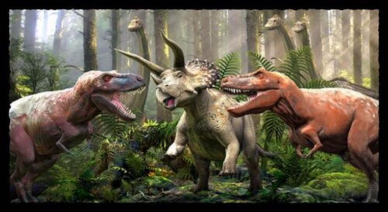 Blank Quilting Tyranno-Chorus 23" Dinosaur Panel Gray Cotton Fabric By The Panel Blank Quilting Tyranno-Chorus 23" Dinosaur Panel Gray Cotton Fabric By The Panel