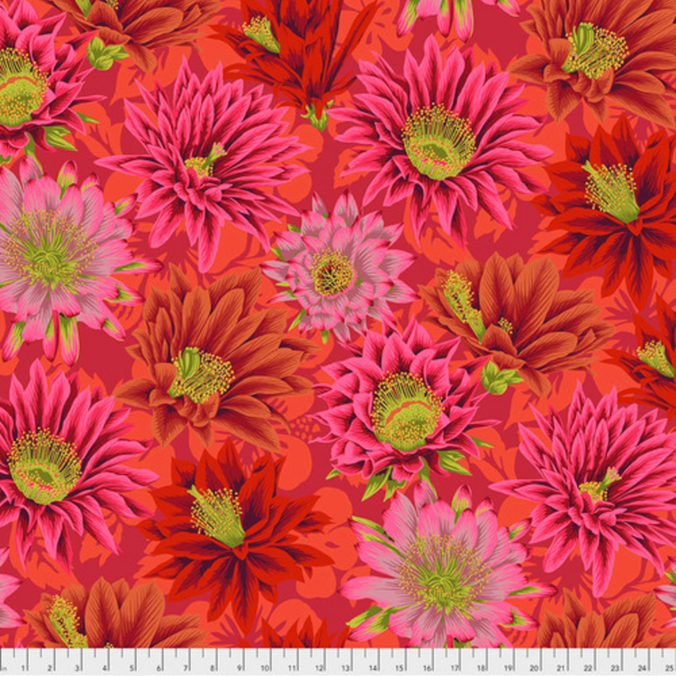 Free Spirit Philip Jacobs PWPJ096 Cactus Flower Red Cotton Fabric By The Yard