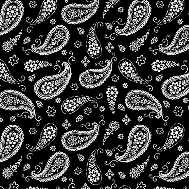 Blank Quilting Paradox Paisley Black Cotton Fabric By The Yard