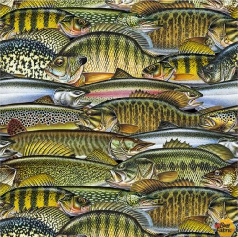 Blank Quilting Keep It Reel Fish Collage Olive Cotton Fabric By The Yard