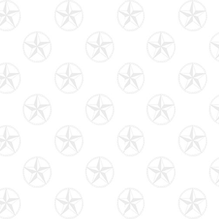 Blank Quilting Western Stock Star White on White Cotton Fabric By The Yard