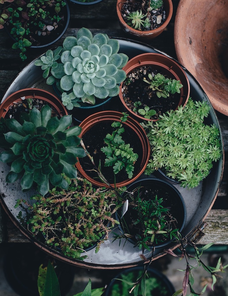 Make Your Own Decorative Plant Pot Covers Flying