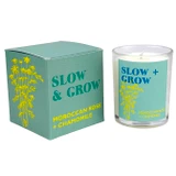 Heaven Scent Modern Botanical Slow & Grow candle in glass jar next to its pale green box with chamomile and rose illustration. Scent notes: Moroccan Rose and Chamomile. Vegan soy wax.