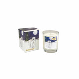 Heaven Scent 'Northern Lights' 9cl vegan soy candle box and glass jar, scented with ivy (apple, pine, musk), featuring a polar bear illustration under a full moon.