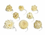 Heaven Scent 's  Sola flowers, perfect for pairing with our coloured bottles and reed refil liquid.