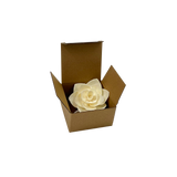Handmade 8cm Jasmine sola flower diffuser in a gift box