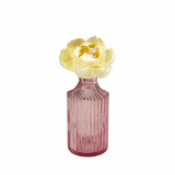 Empty vintage style pink bottle for reed diffusers, posies and decoration photographed with a pomegranate sola flower.