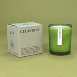 Our 20cl natural soy wax candle features a fresh, green Celandine aroma with mint, eucalyptus and tomato leaf. It's vegan, paraben-free and poured in green glass. Perfect for gifting!
