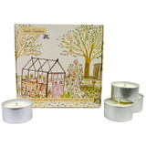 A luxury, vegan, natural box of tealights handmade in Wiltshire, blended with rosemary, sage and thyme fragrance oil in a gift box, illustrated with a greenhouse, garden and potting shed
