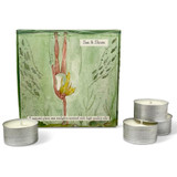 Heaven Scent Sea & Shore box of 9 natural, vegan, plant based & soy wax hand poured tealights made in the UK