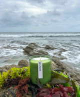 20cl natural soy wax Sea Moss scented candle in a beautiful green glass jar, next to its recycled presentation box.
