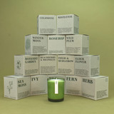 20cl natural soy wax Ivy-scented candle in a beautiful green glass jar, next to its recycled presentation box.