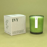 20cl natural soy wax Ivy-scented candle in a beautiful green glass jar, next to its recycled presentation box.