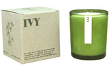 20cl natural soy wax Ivy-scented candle in a beautiful green glass jar, next to its recycled presentation box.