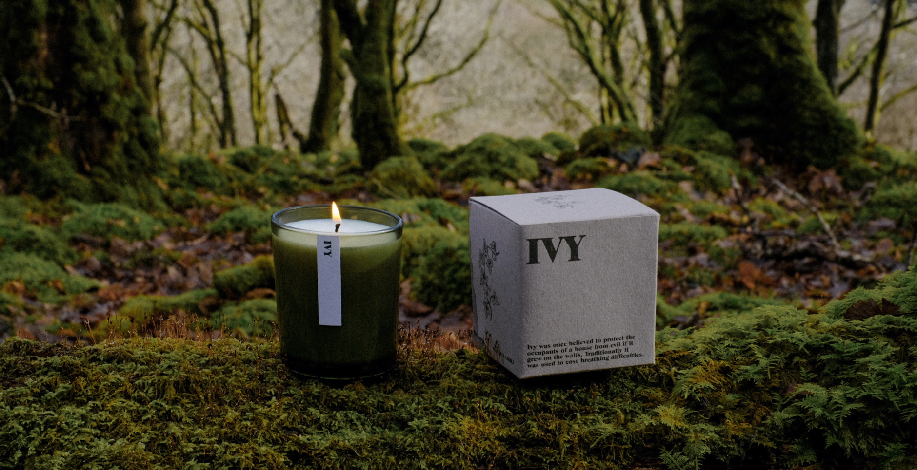 An Ivy scented 20cl candle in a Green Botanical glass jar and matching box, lit and displayed on a mossy woodland log.