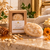 Dame Body 2.5 oz Mini Botanical Soap Bar in kraft square-window packaging with unboxed mini cleansing bar