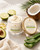 Lime + Coconut Body Butter with its current label and creamy texture, shown as the rich moisture choice in a tropical body-care ritual.