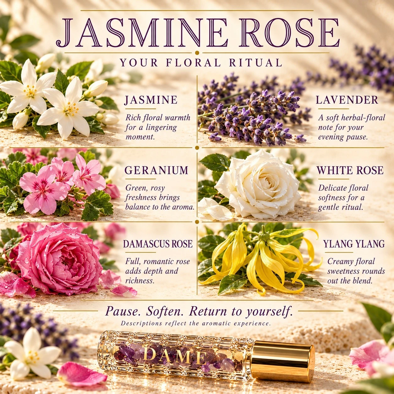Jasmine Rose aroma guide featuring jasmine, lavender, geranium, white and Damascus rose, and ylang ylang