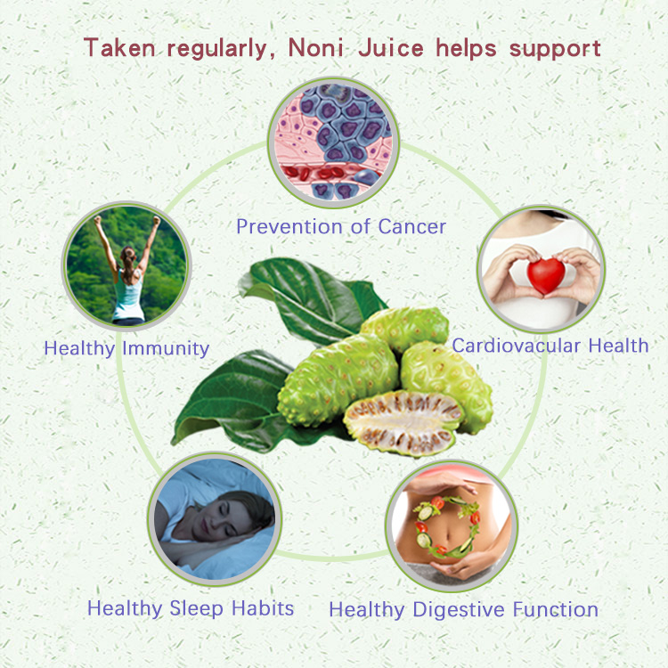 datohealth-noni-juice-benefit2.jpg