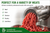 Size 32 Meat Grinder Plate, Hubbed, 10 mm Thickness