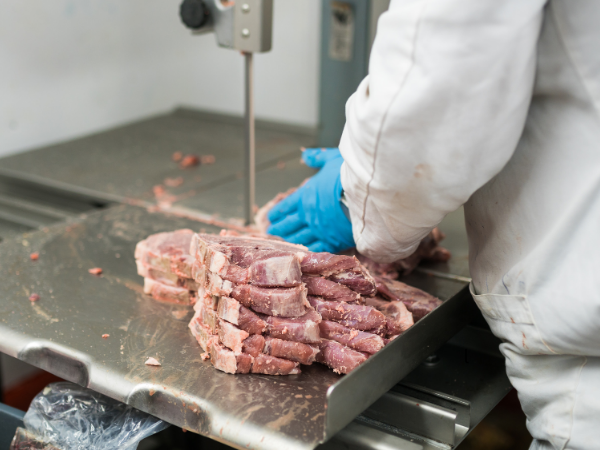 Commercial butcher using meat band saw in professional butcher shop