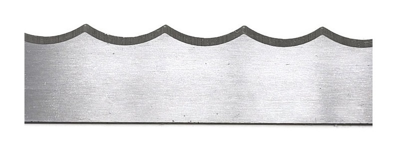 Scallop meat band saw blade showing curved wave tooth design for smooth cutting