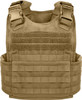 Coyote Brown