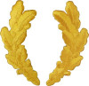 Gold Scrambled Eggs Patch Yellow Oak Leaf Military Uniform Braid Leaves Fretting