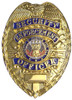 Gold Security Enforcement Officer Badge | Deluxe Security Guard Pin-On Shield