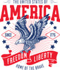 AMERICA Freedom & Liberty Bald Eagle 1776 Home of the Brave US Patriotic T-Shirt