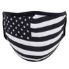 US Flag White