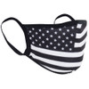 US Flag White